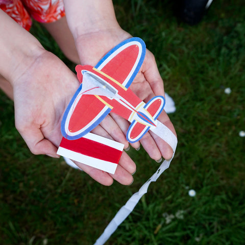 aeroplane kite world smallest kite