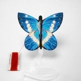 Kite butterfly helena