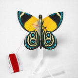 Kite butterfly number wing