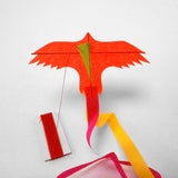 kite orange eagle