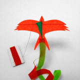 kite swallow orange