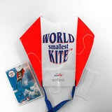 Sled Kite with WsK logo