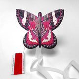 Kite butterfly pink lacewing